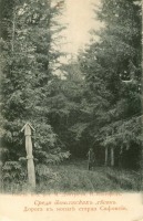 Ретро открытки - Среди Заволжских лесов. Дорога к могиле старца Сафонтия