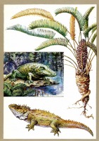 Ретро открытки - Заповедные растения и животные.