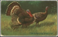 Ретро открытки - День благодарения, 1907
