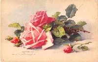 Ретро открытки - Розовые розы
