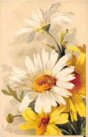 Ретро открытки - Жёлтые и белые ромашки