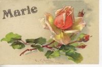 Ретро открытки - Мари. Оранжево- жёлтые розы