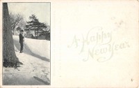 Ретро открытки - С Новым Годом. Лыжная прогулка в зимний день