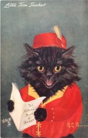 Ретро открытки - Изучение кошек. Маленький Том Такер