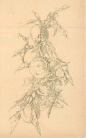 Ретро открытки - Натюрморт Ветка персика