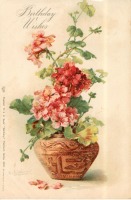 Ретро открытки - Красная герань в коричневом цветочном горшке