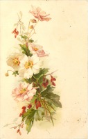 Ретро открытки - Бело-розовый шиповник и красные ягоды