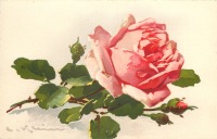Ретро открытки - Одна крупная роза и три розовых бутона