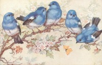 Ретро открытки - Синие птицы на ветке цветущего боярышника и бабочка