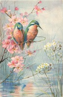 Ретро открытки - Зимородки на цветущей ветке над прудом с белыми цветами камыша