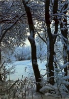 Ретро открытки - Зимы узоры