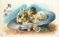 Ретро открытки - Счастливой Пасхи. Цыплята в голубой шляпе и белые маргаритки