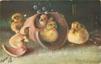 Ретро открытки - Цыплята и утята в старом цветочном горшке