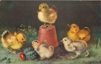 Ретро открытки - Цыплята и утята и цветочный горшок с кактусом