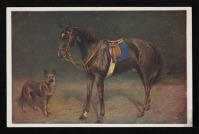 Ретро открытки - Ретро-поштівка.  Кінь і пес.