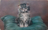Ретро открытки - П. Кримсе. Портрет котёнка