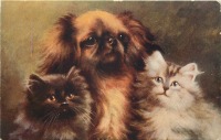 Ретро открытки - Пекинес и два персидских котёнка