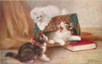 Ретро открытки - Когда кошки были котятами. Три маленьких котёнка
