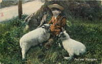 Ретро открытки - Мальчик в матросском костюме и две овечки