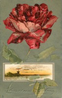 Ретро открытки - Красная роза и ветряная мельница на фоне заката