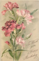 Ретро открытки - Букет розовой гвоздики в День Рождения