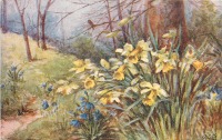 Ретро открытки - А. Прессланд. Жёлтые нарциссы и голубые пролески на лесной поляне