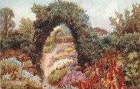 Ретро открытки - Старая зелёная изгородь в английском саду
