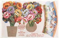 Ретро открытки - Разноцветные маки в декоративном цветочном горшке