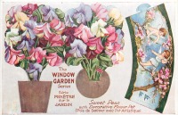 Ретро открытки - Душистый горошек в декоративном цветочном горшке