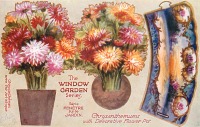 Ретро открытки - Хризантемы в декоративном цветочном горшке