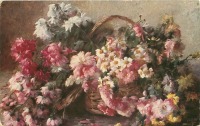 Ретро открытки - А. Гизлер. Розовые и белые хризантемы в плетёной корзине