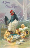 Ретро открытки - Белая курица и семь цыплят