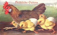 Ретро открытки - Апрельская погода. Коричневая курица и четыре цыплёнка под дождём