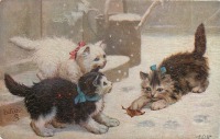 Ретро открытки - Зимние забавы. Три котёнка на снегу и осенний лист