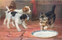 Ретро открытки - Непрошеные гости. Щенки, котёнок и миска молока