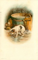 Ретро открытки - Мокрый щенок,ванна и лейка
