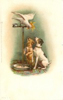 Ретро открытки - Две собаки и белый какаду