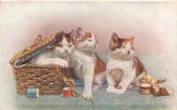 Ретро открытки - Рукодельницы. Три рыжих котёнка и шкатулка с нитками