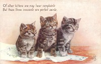 Ретро открытки - Три серых котёнка на столе