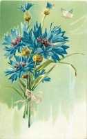 Ретро открытки - Букет васильков и бабочка