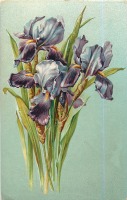 Ретро открытки - Фиолетовые ирисы