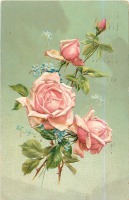 Ретро открытки - Три розы с бутонами и незабудки