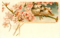 Ретро открытки - Воробьи на ветке и яблоневый цвет