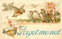 Ретро открытки - Девять зябликов и яблоневый цвет
