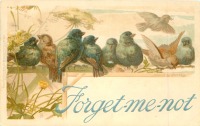 Ретро открытки - Птицы на изгороди и луговые цветы