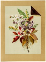Ретро открытки - Ромашки, девичий виноград и папоротник