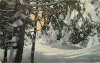 Ретро открытки - Снежная сцена в Альпах