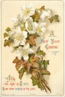 Ретро открытки - Новогоднее приветствие. Анемоны и плющ