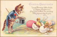 Ретро открытки - Пасхальные поздравления, Кот во фраке и цыплята