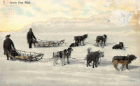 Ретро открытки - Арктическая почта